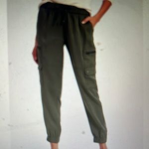 Banana Republic Factory joggers